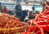 Lonjakan Harga Cabai Makin ‘Pedas’