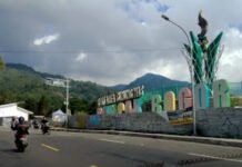 Pasca Tahun Baru, Banyak Kondom Berceceran di Kebun Teh