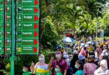 Libur Imlek, Kebun Binatang Ragunan Dipadati Pengunjung