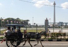 Delman Dilarang Berada di Monas