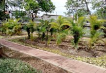 Tahun ini, Kawasan Koja Akan Ditata