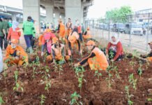 Pemprov DKI Gencarkan Penataan Kota Melalui Penghijauan
