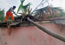 Lima Rumah di Pulau Tidung Rusak