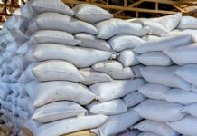 Dinsos Telusuri Tumpukan Beras Rusak di Pulo Gadung