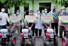 Menjadi Salah Satu Lumbung Padi Nasional, Begini Potensi Pertanian Kabupaten Sragen