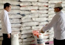 Jokowi Pastikan Beras OP Bulog Sampai di Warung