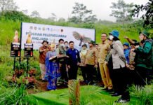 Elang Jawa ‘Parama dan Jelita’ Dilepasliarkan di Gunung Gede pangrango
