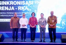 Krisna-Sakti, Aplikasi Permudah Birokrasi