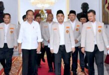 Jokowi: Pemuda Harus Fokus Kembangkan Ekonomi