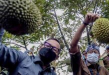 Bima Arya Tawarkan Durian Rancamaya ke Investor Jepang
