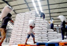 Stok Beras di Gudang Bulog jabar Masih Aman Hingga Bulan Depan