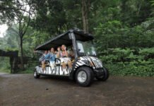 Ingin Berlibur ke Taman Safari Saat Ramadhan, Cek Dulu Jadwal dan Promonya