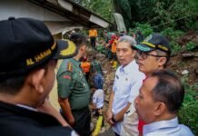 Bersama Forkopimda, Dedie Rachim Tinjau Lokasi Longsor di Empang