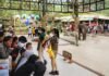 Libur Lebaran 2023, Tingkat Pengunjung Taman Safari Bogor Melonjak Hingga 50 Persen