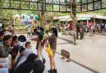 Libur Lebaran 2023, Tingkat Pengunjung Taman Safari Bogor Melonjak Hingga 50 Persen