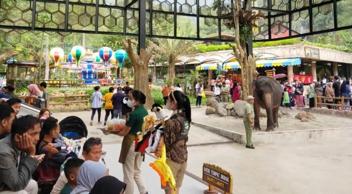 Libur Lebaran 2023, Tingkat Pengunjung Taman Safari Bogor Melonjak Hingga 50 Persen
