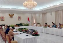 Wapres Gelar Ratas Soal Papua Pegunungan