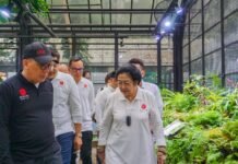 Resmikan Rumah Kaca Griya Anggrek di Kebun Raya Bogor, Megawati Soekarnoputri Kenang Kebersamaan dengan Sang Ayah