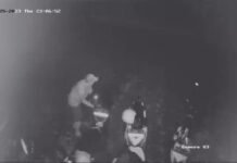 Seorang Wartawan Media Nasional Menjadi Korban Maling Motor di Salah Satu Cafe di Kota Bogor