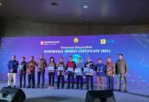 Tingginya Kepedulian Pada Bisnis Berkelanjutan, Penggunaan Energi Hijau Meningkat 148%