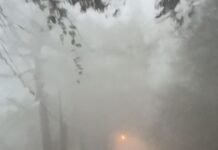 Jangan ke Puncak Karena Kabut Tebal dan Jalan Gelap