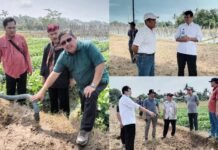 Genjot Produksi Padi Nasional, Sekjen Kementan Tinjau Pelaksanaan PAT di Kabupaten Cilacap