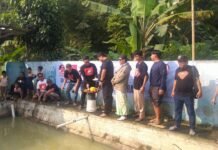 Relawan Jokowi Gibran Bogor Raya “Ngubek Empang” Dan Bagi Susu Gratis Rayakan Kemenangan Prabowo Gibran