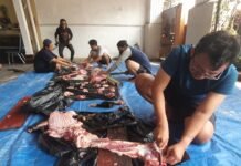 IJTI Korda Depok Bekerjasama Dengan Human Initiative Salurkan Daging Kurban