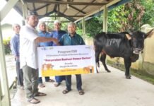 Berbagi di Hari Raya Idul Adha, PT KPBN Salurkan Hewan Qurban sebagai Bagian dari Program CSR di Dumai