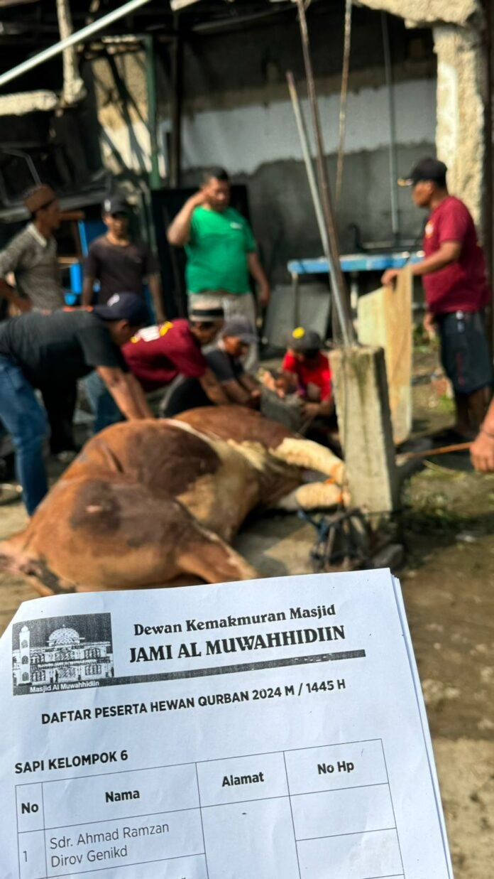 WhatsApp Image 2024-06-20 at 15.06.07 BK Corp