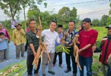 Cawalkot Sendi Fardiansyah “Hepi” Dihadiahi Warga