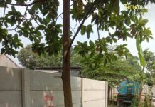 Natura City Geram, Siapa Dibalik Pengrusakan Pagar Tanahnya, Ini Langkah yang Akan Ditempuh