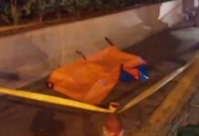 Diduga Akibat Mengejar Layang-layang, Bocah 8 Tahun Tewas Tersambar Mobil di Tol Cijago