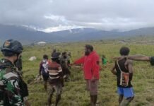 Peresmian Gudang Logistik BNPB di Sinak, Masyarakat Antusias Sambut Acara Bakar Batu