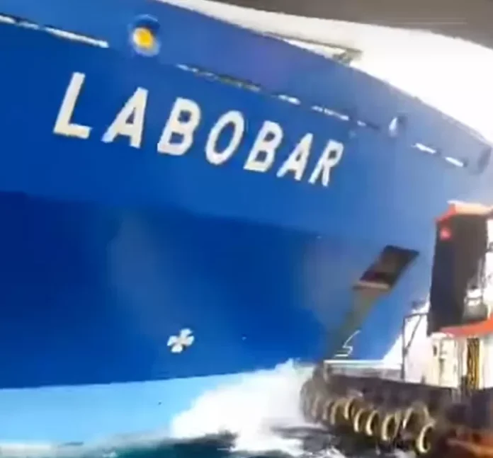 IMG_20240820_111425-1374400599