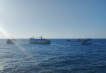 KM Kirana III Kebakaran di Selatan Bawean, 242 Penumpang Selamat