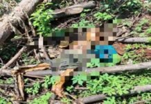 Warga Klapanunggal Dihebohkan Penemuan Mayat, Tinggal Tulang Belulang