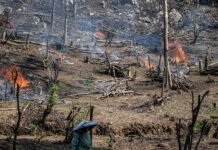 MEMBAKAR HUTAN UNTUK MEMBUKA KEHIDUPAN