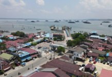 ASDP Resmi Terapkan e-Ticketing di Pelabuhan Penajam, Dukung Aksesibilitas Ibu Kota Nusantara