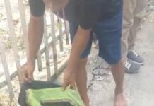 Penemuan Mayat Pemulung di Kedung Badak Gegerkan Warga