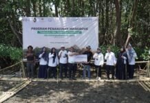 Pelindo Regional 4 Tanam Mangrove di Lahan Seluas 12,5 Ha, Konservasi lingkungan dan Contoh Nyata