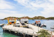 ASDP Perluas Konektivitas Nusantara Layani hingga 304 Lintasan