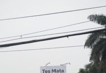 Kampanye Tak Biasa Cawalkot Bogor Nomor 5, Warga: Kreatif! Pake Tes Mata