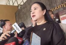 PDIP Tegaskan Solid Dukung Pemerintahan Prabowo Meski Ada Perbedaan Pandangan Internal