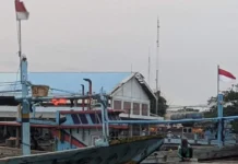 Belum Bersertifikat dan Bisnis di Pelabuhan Tanpa HPL, Fakta Tak Dibantah Kepala Syahbandar PPP Mayangan