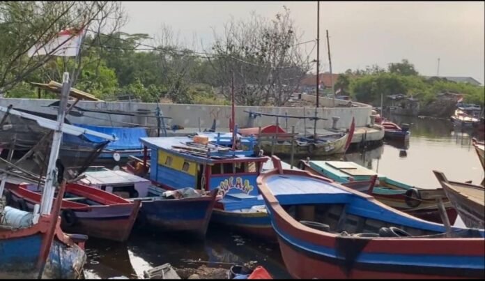 pekalongan erita_20241014092917