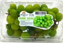 Hasil Investigasi Bapanas: Anggur Shine Muscat di Indonesia Aman Dikonsumsi