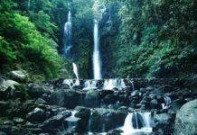 Menikmati Keindahan Alam: 5 Rekomendasi Wisata Curug di Kabupaten Bogor
