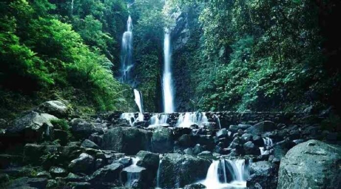 Menikmati Keindahan Alam: 5 Rekomendasi Wisata Curug di Kabupaten Bogor