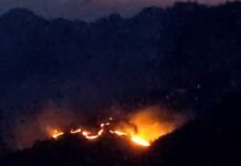 Karhutla di Taman Nasional Gunung Rinjani, 95 Persen Api Berhasil Dikendalikan Patroli Diperketat